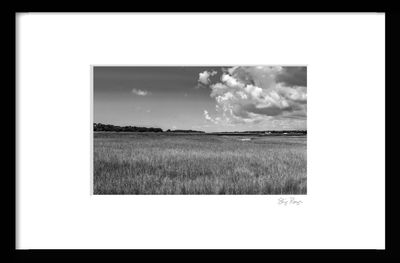 -RUNGE_FRAME {MARSH_0234_01}.tif