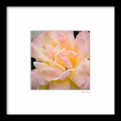 -RUNGE_FRAME {PINK} 01.jpg