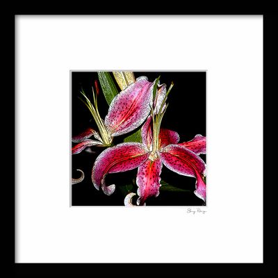 -RUNGE_FRAME {StarGazer01}.jpg