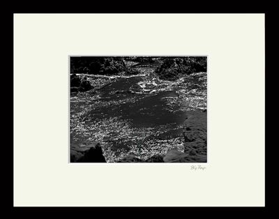 RUNGE_{POINT_LOBOS-4249}.tif