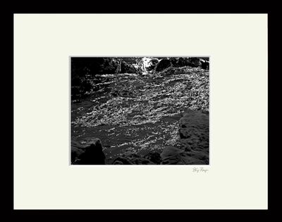 RUNGE_{POINT_LOBOS-4250}.tif