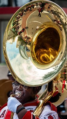 Tuba.jpg