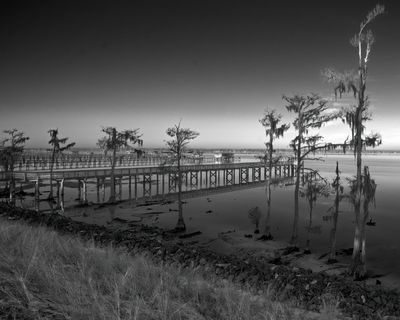Alpine Groves Park 1