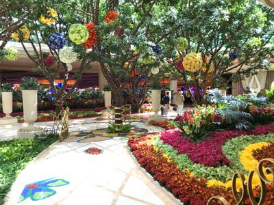 and more flowers