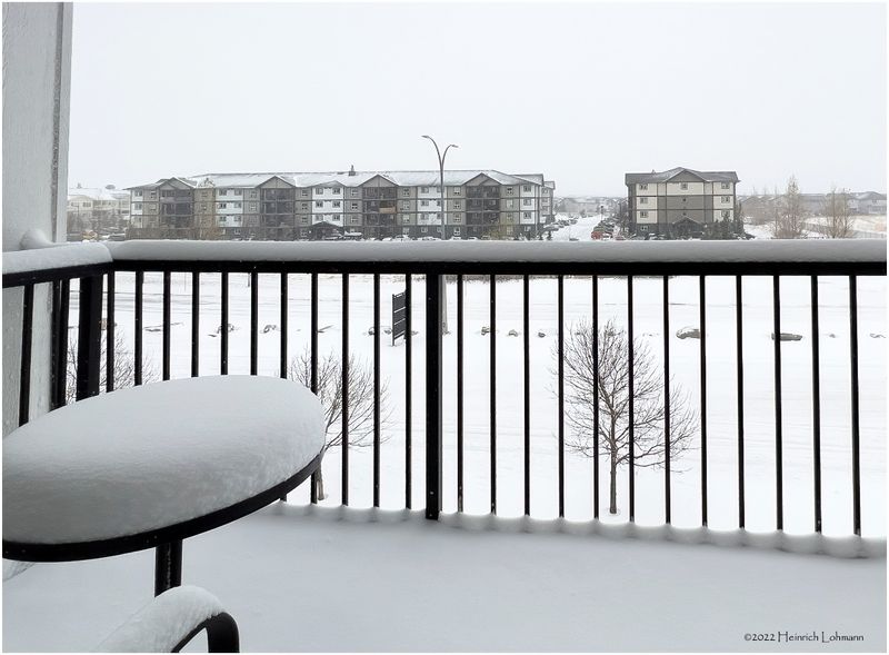 IMG_3385-Airdrie.jpg