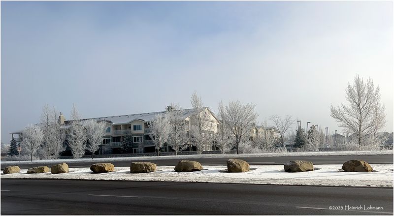 IMG_3855-Airdrie.jpg