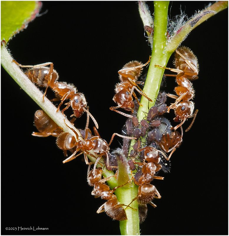 KF000991-small beginnings.jpg