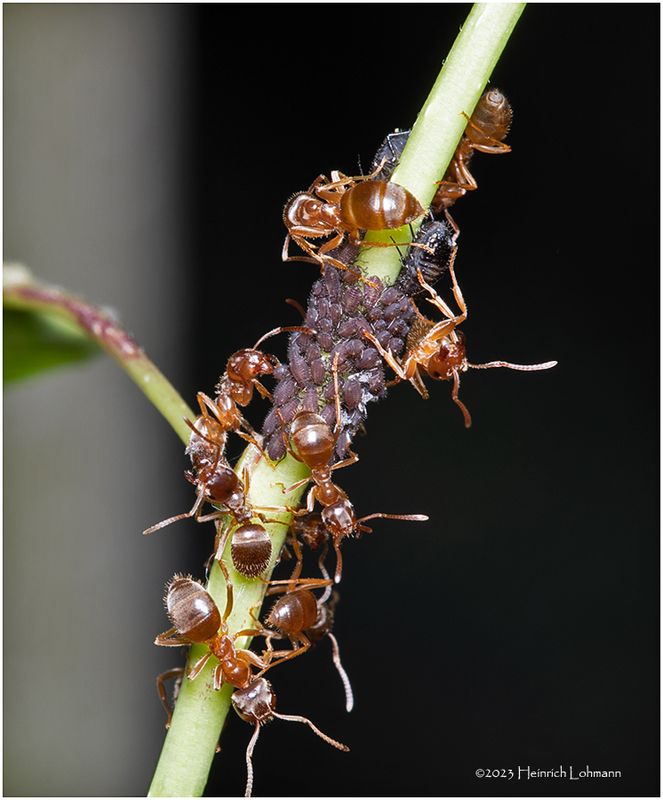 KF000993-small beginnings.jpg