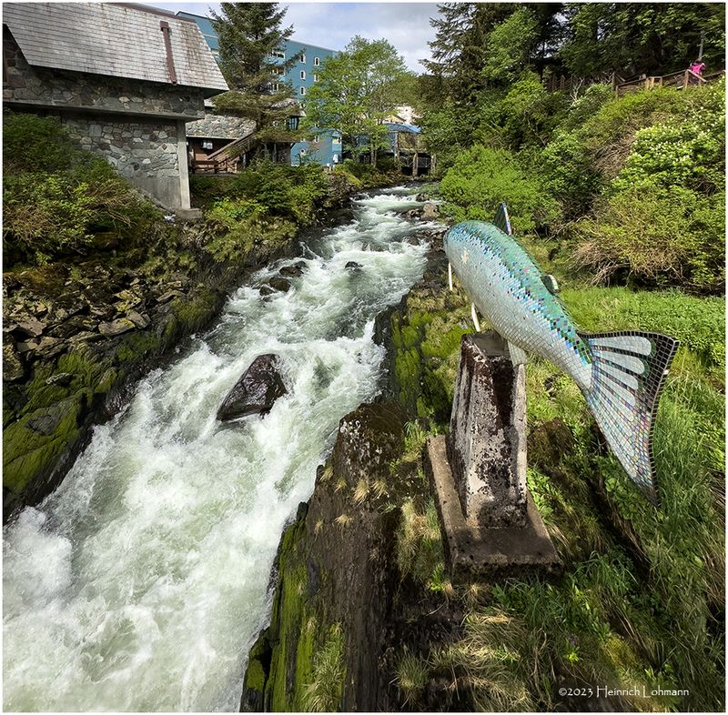 IMG_7466-Ketchikan, Alaska.jpg