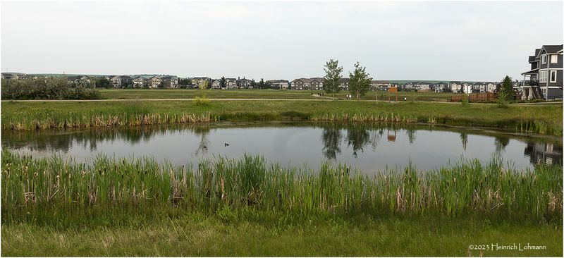 DSC09995-Airdrie.jpg
