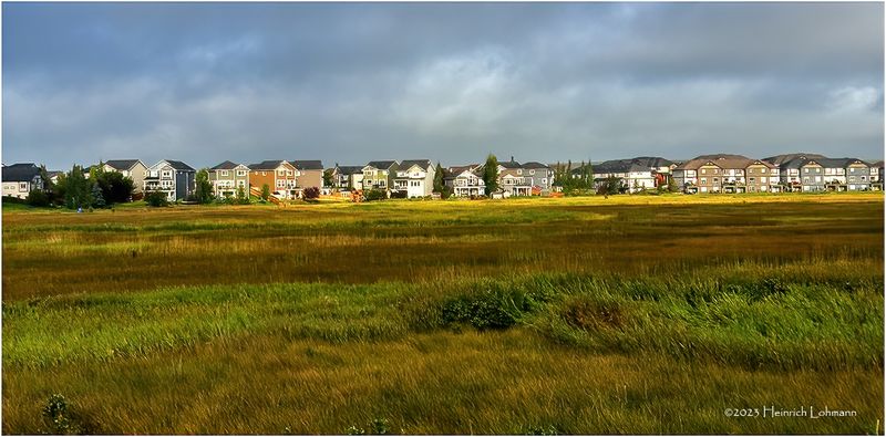 IMG_8316-Airdrie.jpg
