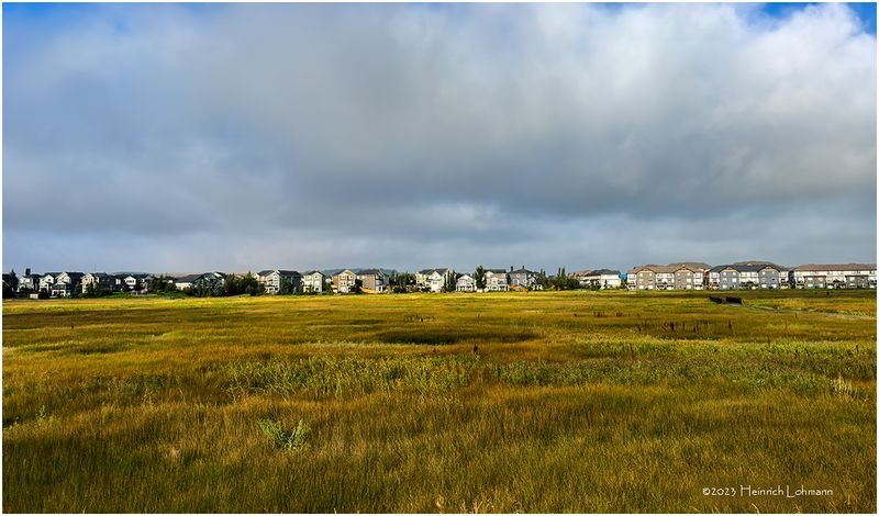 IMG_8323-Airdrie.jpg