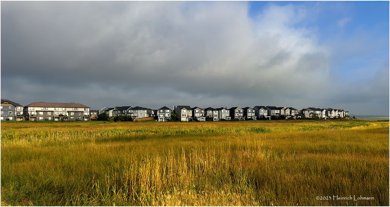 IMG_8330-Airdrie.jpg