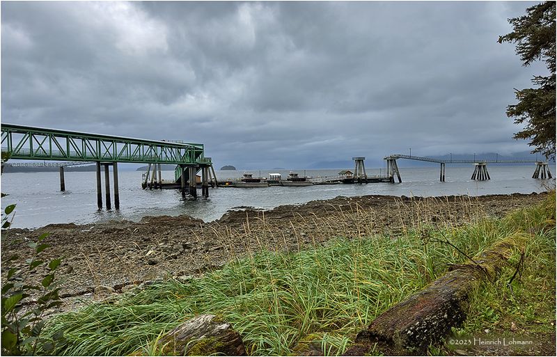 IMG_9199-Icy Strait Point.jpg