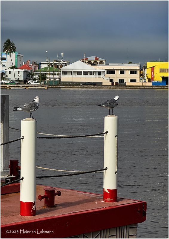 IMG_0957-Belize City.jpg