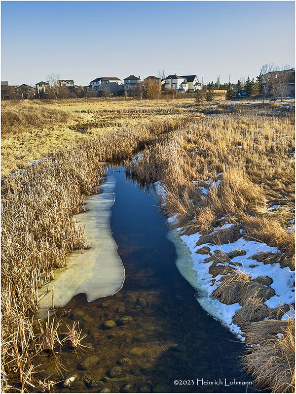 IMG_1828-Airdrie.jpg