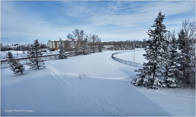 IMG_2260-Airdrie.jpg