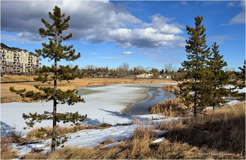 IMG_2272-Airdrie.jpg