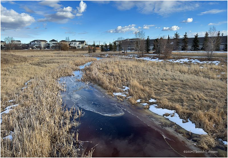 IMG_2277-Airdrie.jpg