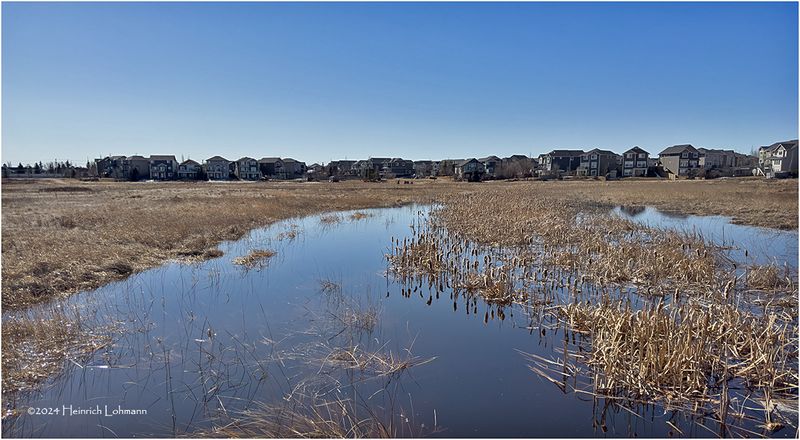 IMG_2463-Airdrie.jpg