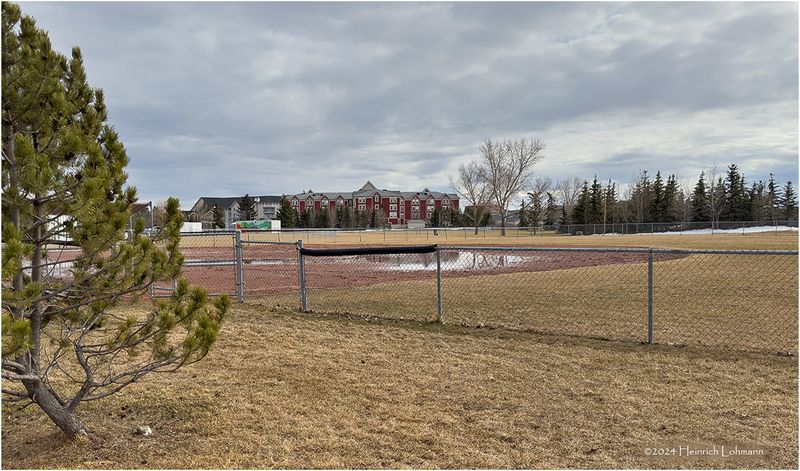 IMG_2583-Airdrie.jpg
