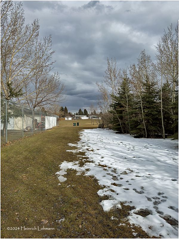 IMG_2589-Airdrie.jpg
