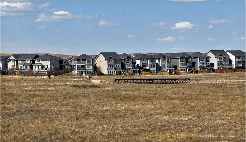 IMG_3038-Airdrie.jpg