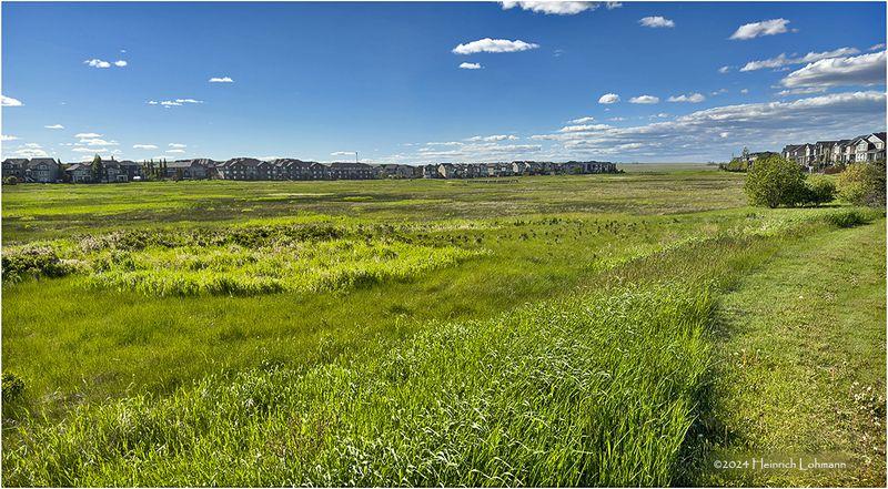 IMG_3463-Airdrie.jpg