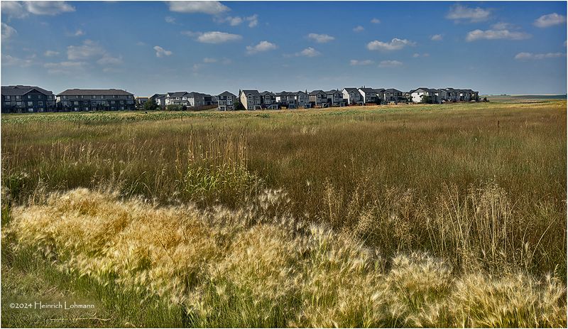 IMG_3985-Airdrie.jpg