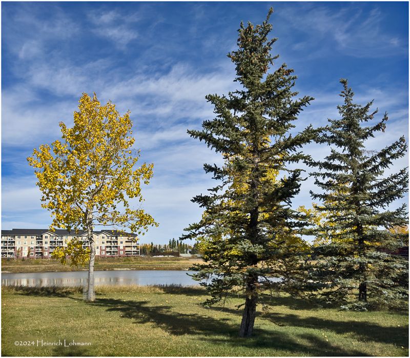IMG_6114-Airdrie.jpg