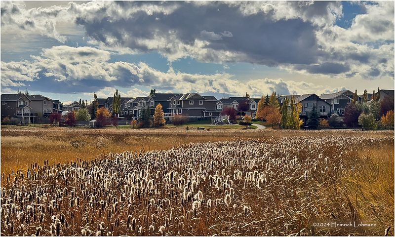 IMG_6235-2-Airdrie.jpg