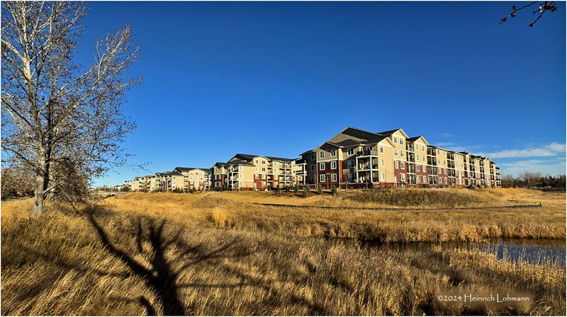 IMG_6532-Airdrie.jpg