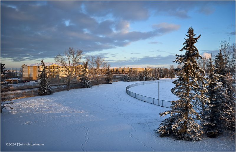 IMG_6545-Airdrie.jpg