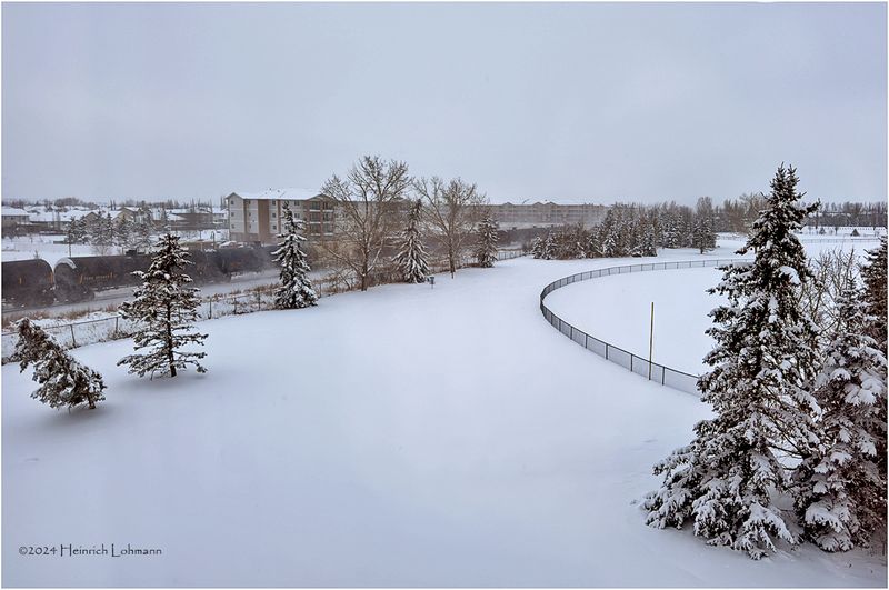 IMG_6585-Airdrie.jpg