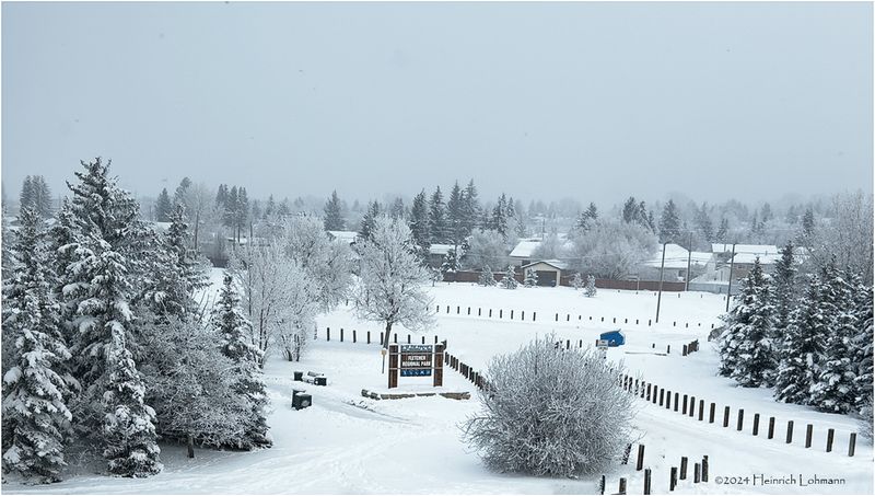 IMG_6729-Airdrie.jpg