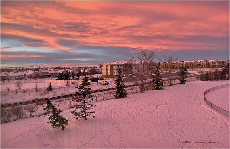 IMG_6850-Airdrie.jpg
