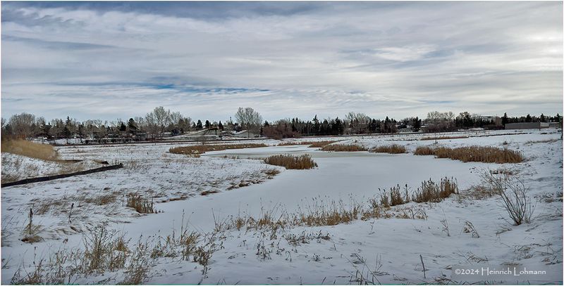 IMG_6861-Airdrie.jpg
