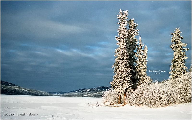 img204-Yukon.jpg