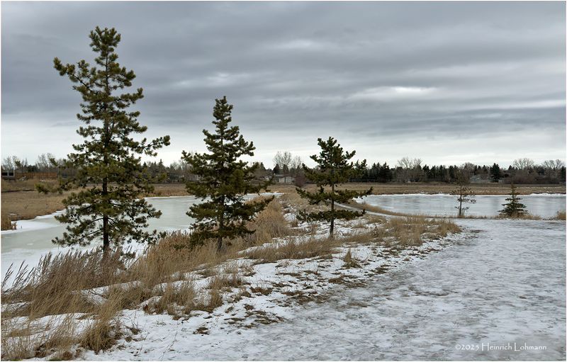 IMG_7216-Airdrie.jpg