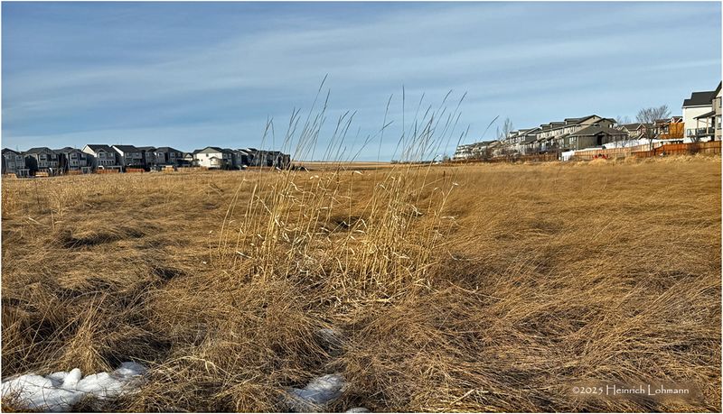 IMG_7244-Airdrie.jpg