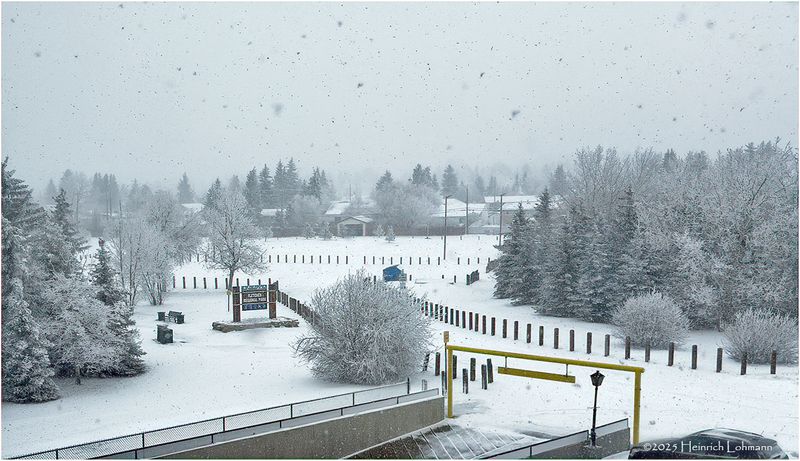 IMG_7432-Airdrie.jpg