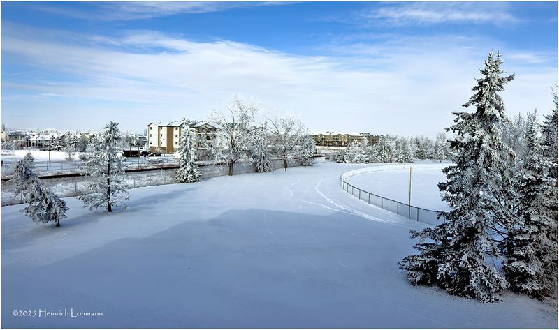 IMG_7449-Airdrie.jpg