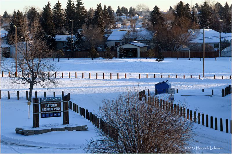 IMG_7496-Airdrie.jpg