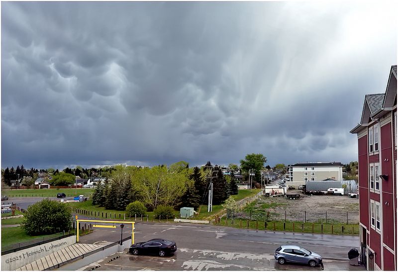 IMG_0023-Airdrie.jpg