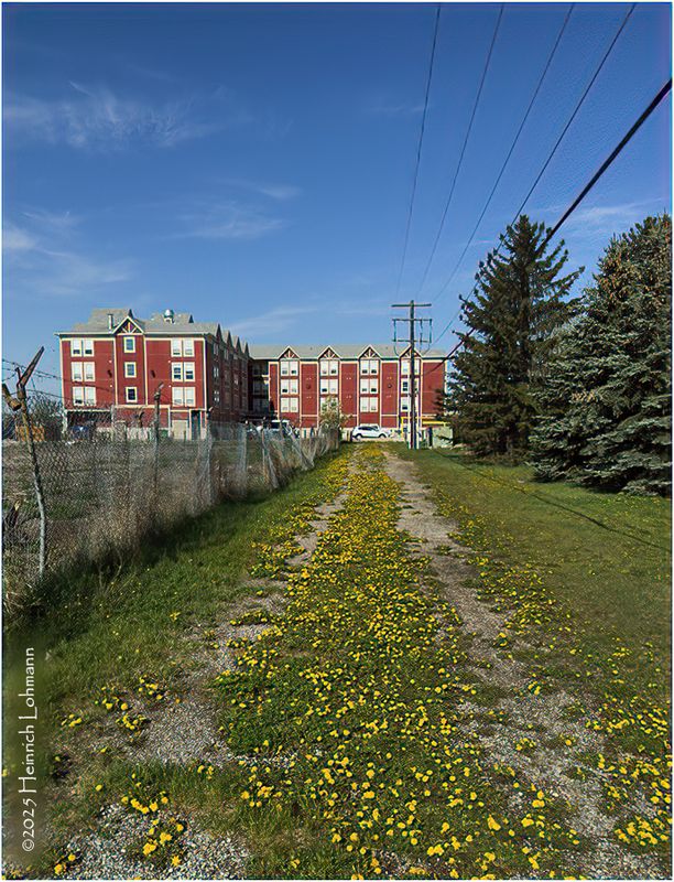 IMG_8561-Airdrie.jpg