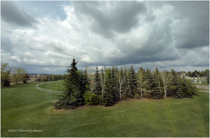 IMG_8669-Airdrie.jpg