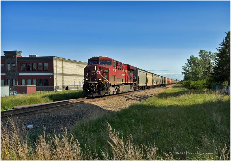 IMG_0571-Airdrie.jpg