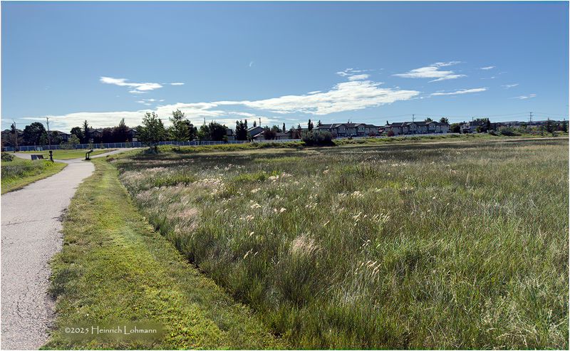 IMG_1237-Airdrie.jpg