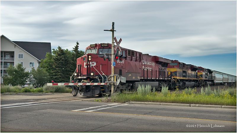 IMG_1575-Airdrie.jpg