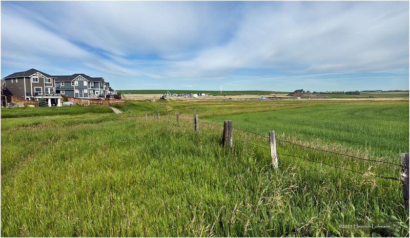 IMG_1585-Airdrie.jpg